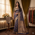 Navy Niloufer Organza Zari Saree